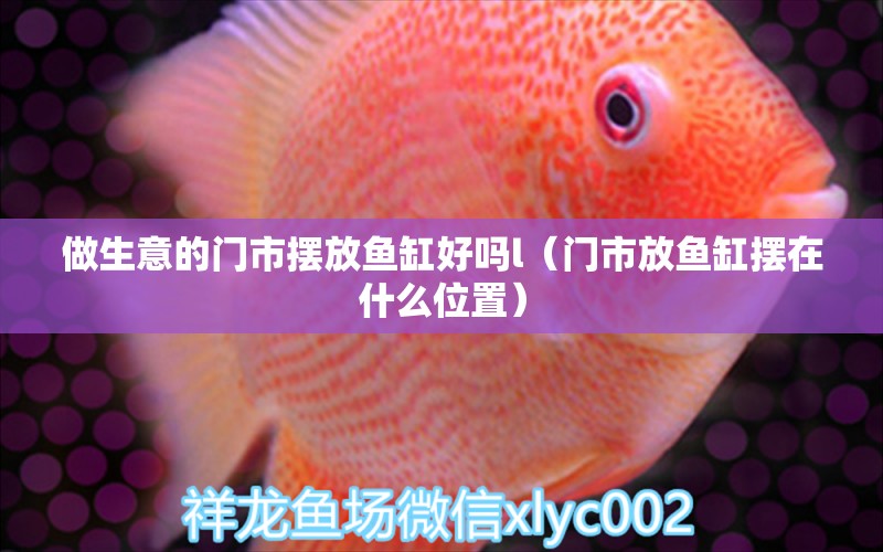 做生意的門市擺放魚缸好嗎l（門市放魚缸擺在什么位置）