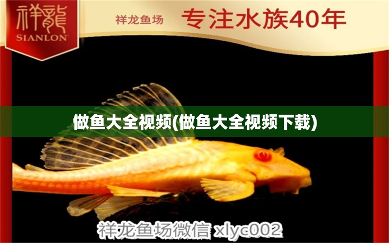 做魚大全視頻(做魚大全視頻下載) 黃鰭鯧魚