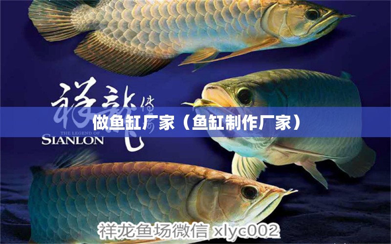 做魚缸廠家（魚缸制作廠家）