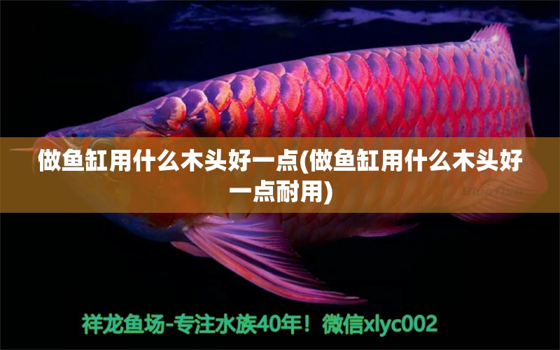 做魚缸用什么木頭好一點(diǎn)(做魚缸用什么木頭好一點(diǎn)耐用)