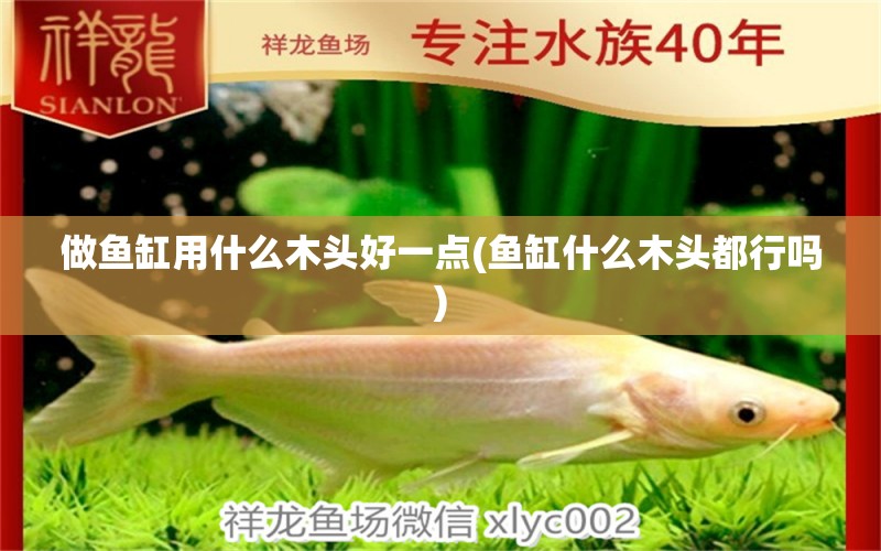 做魚缸用什么木頭好一點(diǎn)(魚缸什么木頭都行嗎)