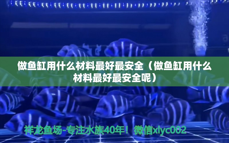 做魚缸用什么材料最好最安全（做魚缸用什么材料最好最安全呢）