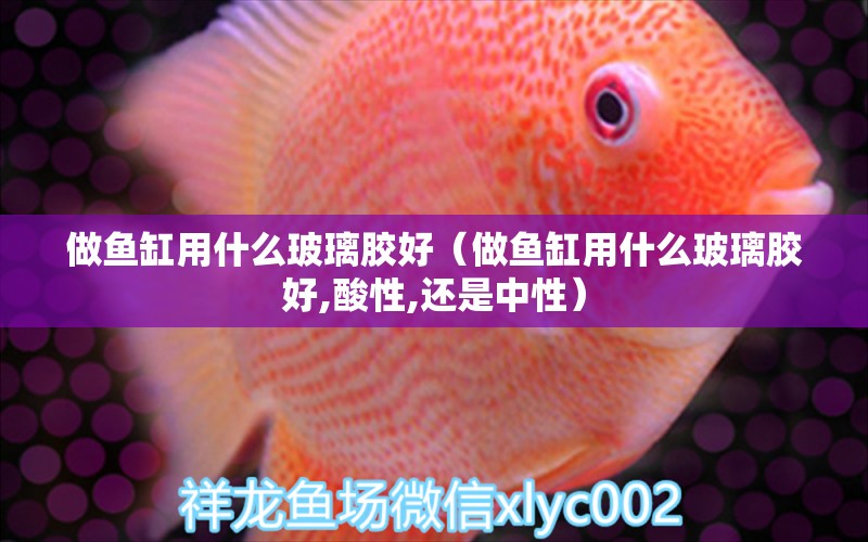 做魚缸用什么玻璃膠好（做魚缸用什么玻璃膠好,酸性,還是中性）