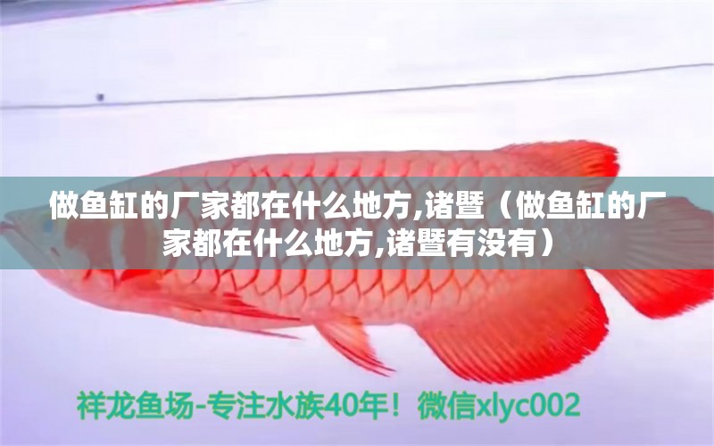 做魚缸的廠家都在什么地方,諸暨（做魚缸的廠家都在什么地方,諸暨有沒有）