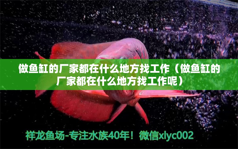 做魚缸的廠家都在什么地方找工作（做魚缸的廠家都在什么地方找工作呢）