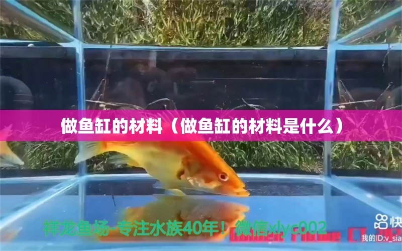 做魚缸的材料（做魚缸的材料是什么）