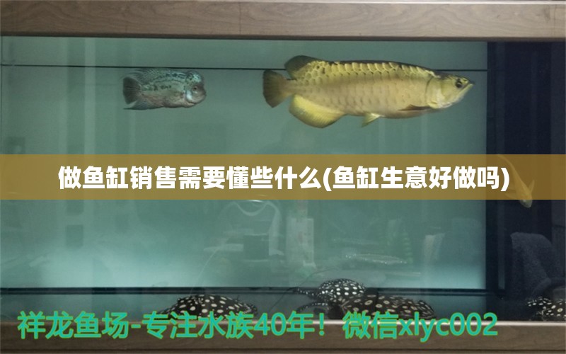 做魚(yú)缸銷售需要懂些什么(魚(yú)缸生意好做嗎) 帝王迷宮