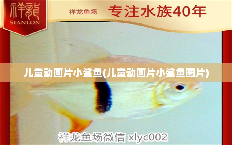 兒童動(dòng)畫片小鯊魚(兒童動(dòng)畫片小鯊魚圖片) 彩鰈魚缸（彩蝶魚缸）