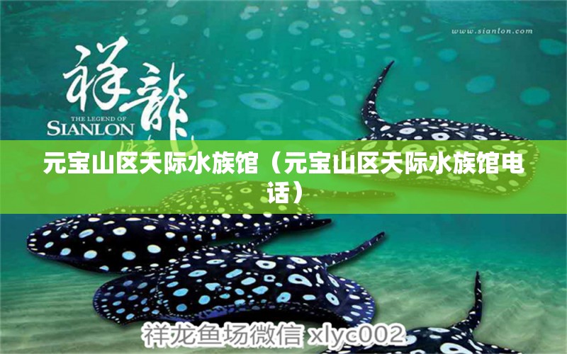 元寶山區(qū)天際水族館（元寶山區(qū)天際水族館電話）