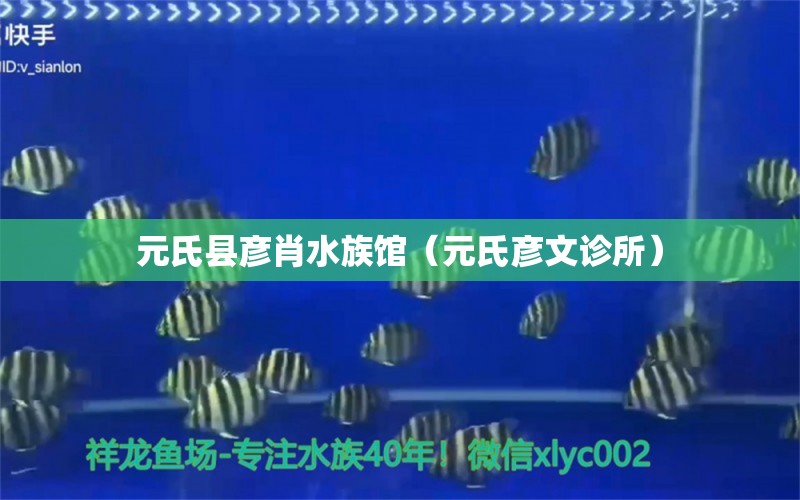 元氏縣彥肖水族館（元氏彥文診所） 全國水族館企業(yè)名錄