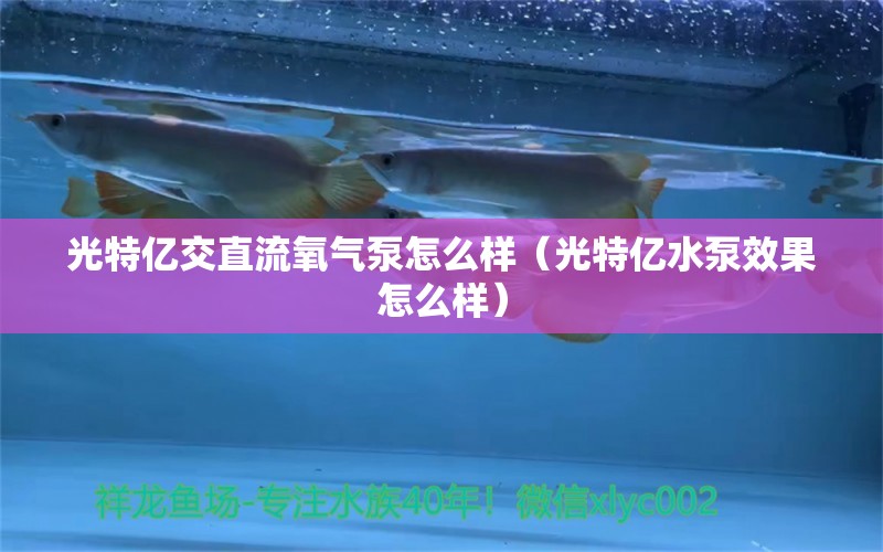 光特億交直流氧氣泵怎么樣（光特億水泵效果怎么樣）