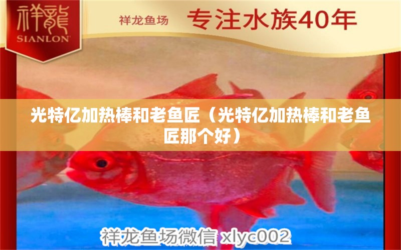 光特億加熱棒和老魚匠（光特億加熱棒和老魚匠那個好）