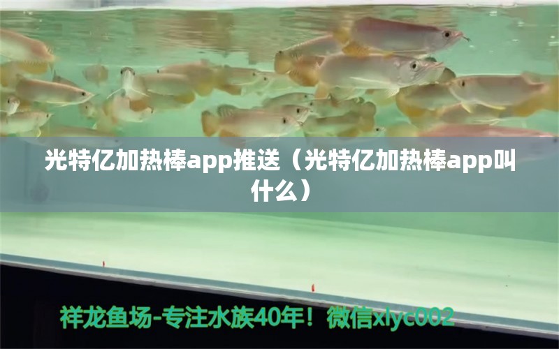 光特億加熱棒app推送（光特億加熱棒app叫什么） 光特億