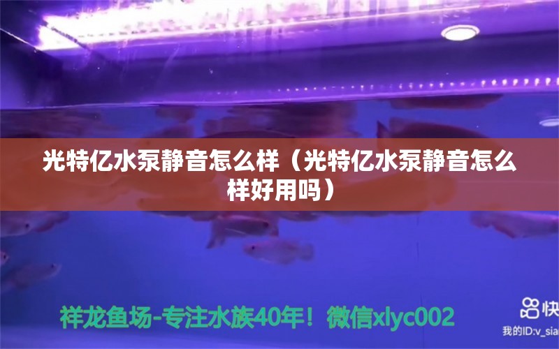 光特億水泵靜音怎么樣（光特億水泵靜音怎么樣好用嗎）