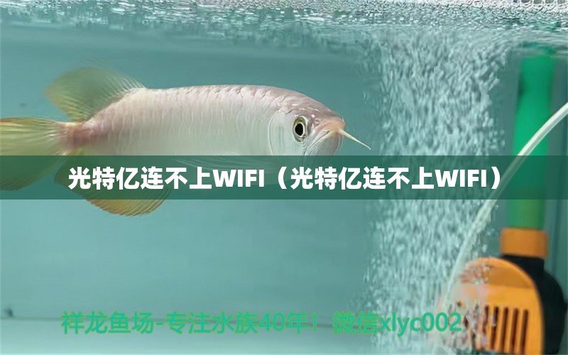 光特億連不上WIFI（光特億連不上WIFI）