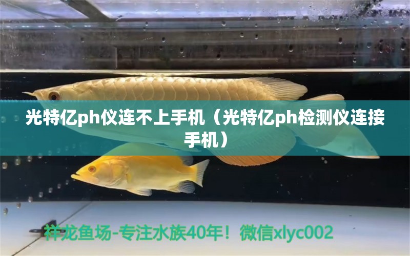 光特億ph儀連不上手機(jī)（光特億ph檢測儀連接手機(jī)）