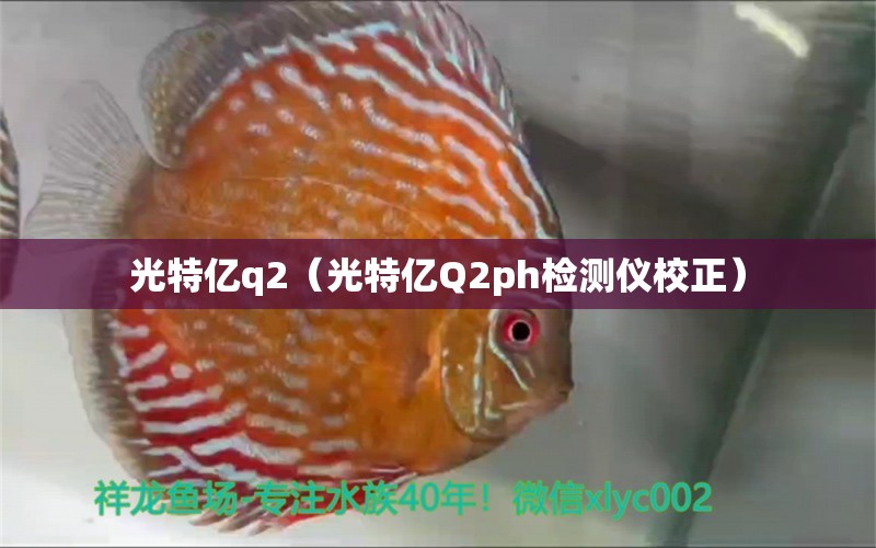 光特億q2（光特億Q2ph檢測儀校正） 光特億