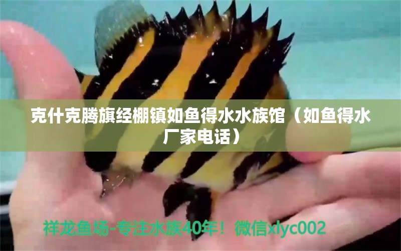 克什克騰旗經(jīng)棚鎮(zhèn)如魚得水水族館（如魚得水廠家電話）