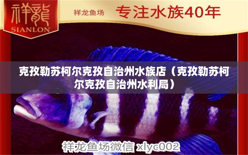 克孜勒蘇柯爾克孜自治州水族店（克孜勒蘇柯爾克孜自治州水利局） 觀賞魚市場