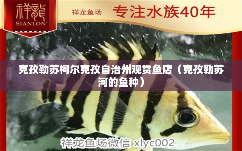 克孜勒蘇柯爾克孜自治州觀賞魚店（克孜勒蘇河的魚種）