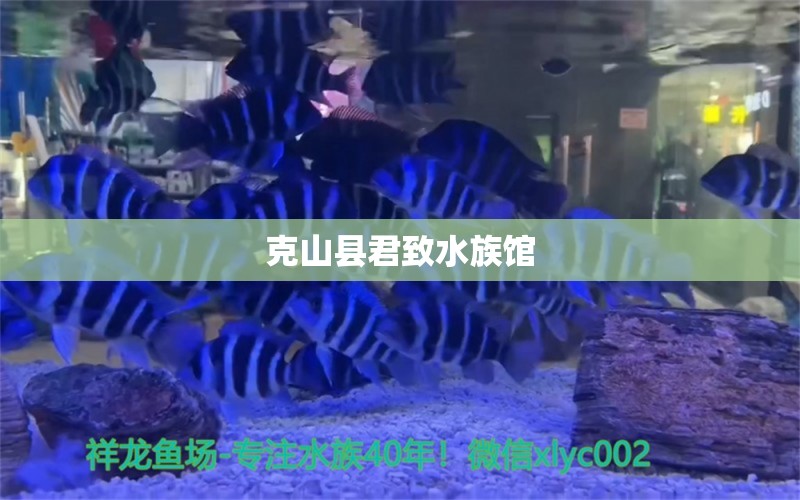 克山縣君致水族館 全國水族館企業(yè)名錄