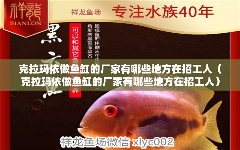 克拉瑪依做魚(yú)缸的廠家有哪些地方在招工人（克拉瑪依做魚(yú)缸的廠家有哪些地方在招工人） 觀賞魚(yú)市場(chǎng)（混養(yǎng)魚(yú)）