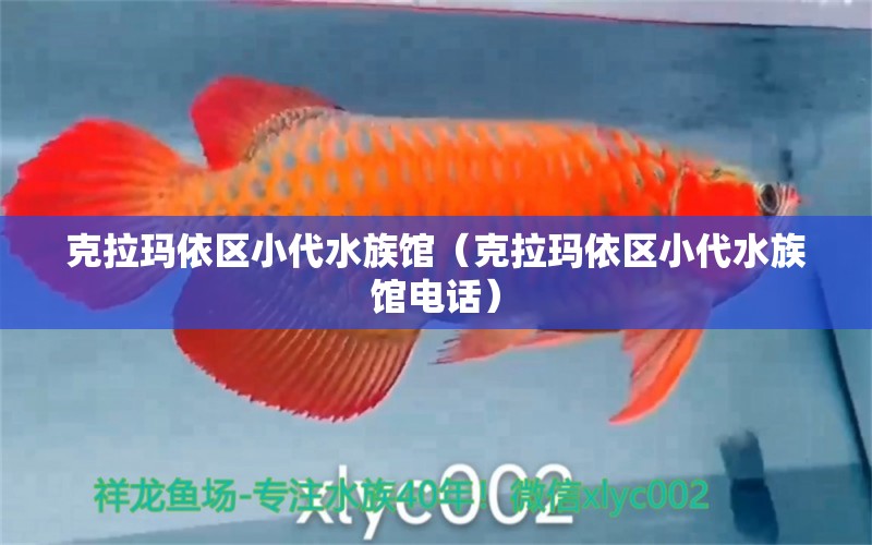 克拉瑪依區(qū)小代水族館（克拉瑪依區(qū)小代水族館電話）