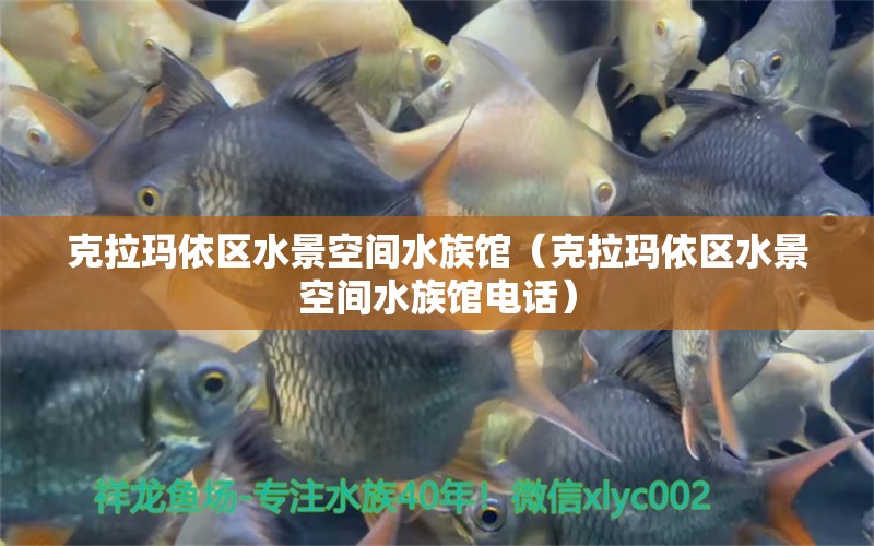 克拉瑪依區(qū)水景空間水族館（克拉瑪依區(qū)水景空間水族館電話） 全國水族館企業(yè)名錄