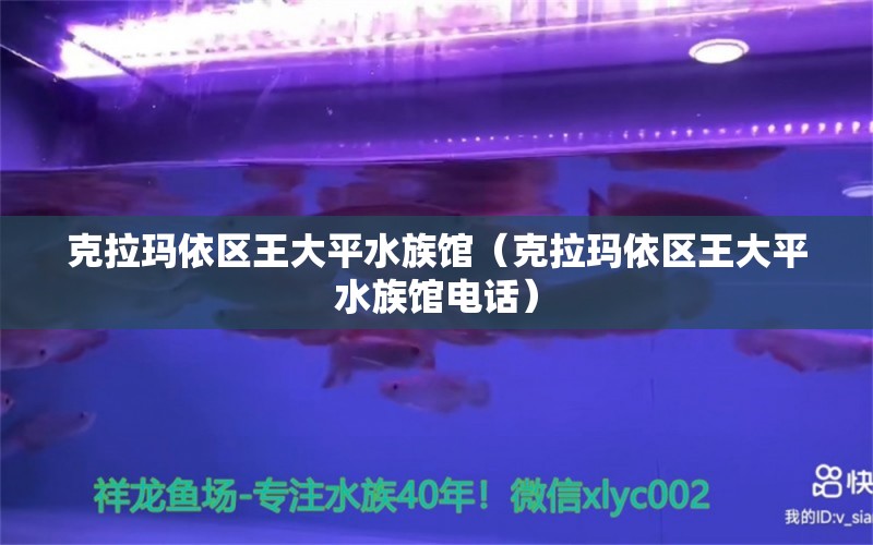 克拉瑪依區(qū)王大平水族館（克拉瑪依區(qū)王大平水族館電話）