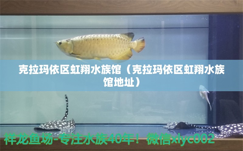 克拉瑪依區(qū)虹翔水族館（克拉瑪依區(qū)虹翔水族館地址）