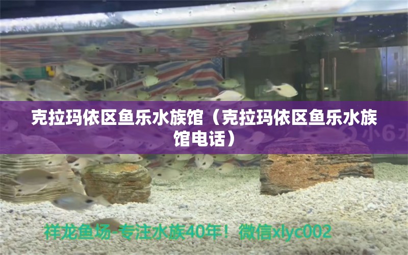 克拉瑪依區(qū)魚(yú)樂(lè)水族館（克拉瑪依區(qū)魚(yú)樂(lè)水族館電話）