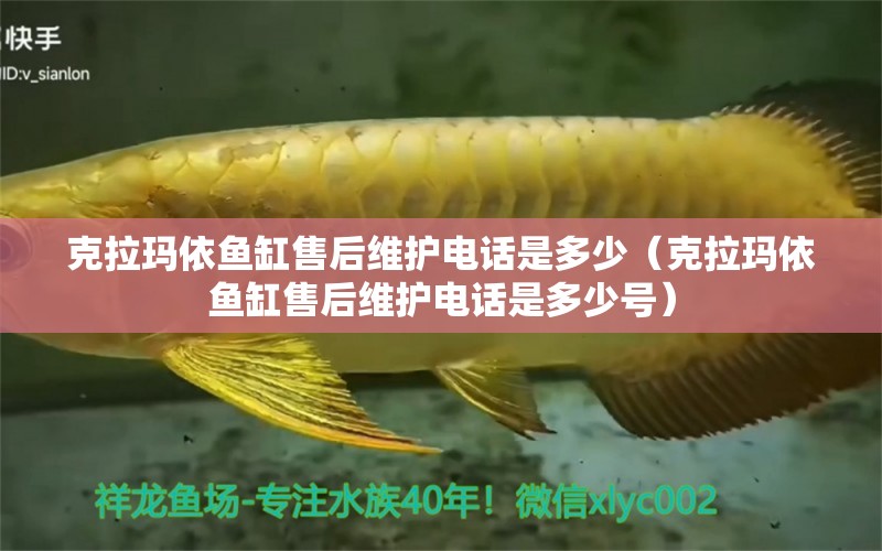 克拉瑪依魚缸售后維護(hù)電話是多少（克拉瑪依魚缸售后維護(hù)電話是多少號）