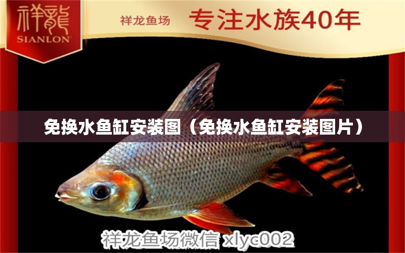 免換水魚缸安裝圖（免換水魚缸安裝圖片） 廣州觀賞魚批發(fā)市場