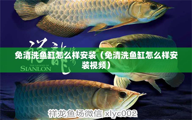 免清洗魚(yú)缸怎么樣安裝（免清洗魚(yú)缸怎么樣安裝視頻）