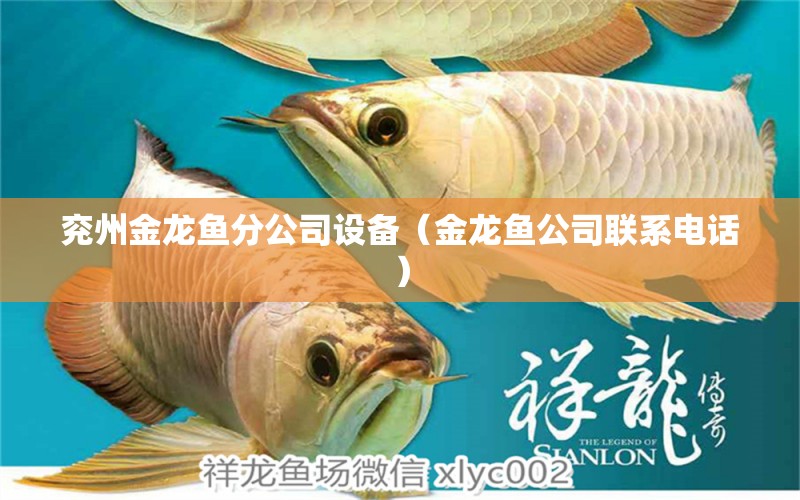 兗州金龍魚(yú)分公司設(shè)備（金龍魚(yú)公司聯(lián)系電話(huà)） 巴西亞魚(yú)