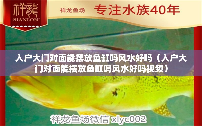 入戶大門對面能擺放魚缸嗎風(fēng)水好嗎（入戶大門對面能擺放魚缸嗎風(fēng)水好嗎視頻） 魚缸風(fēng)水