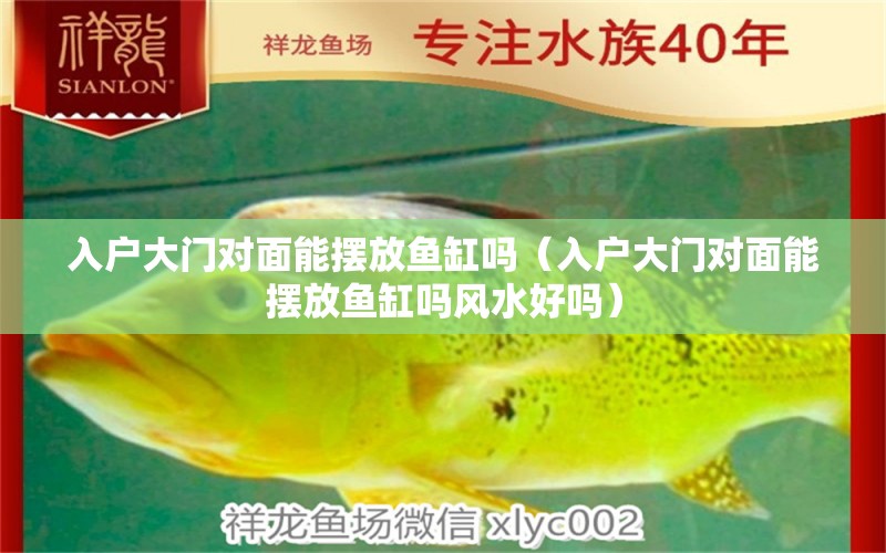 入戶大門對(duì)面能擺放魚缸嗎（入戶大門對(duì)面能擺放魚缸嗎風(fēng)水好嗎） 魚缸風(fēng)水