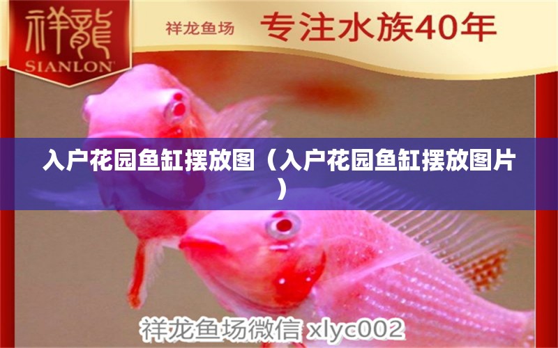 入戶(hù)花園魚(yú)缸擺放圖（入戶(hù)花園魚(yú)缸擺放圖片）