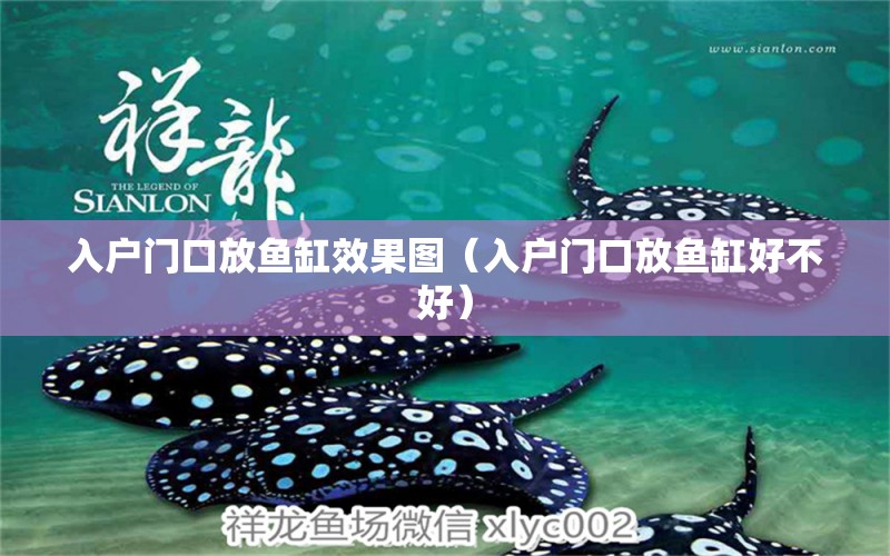 入戶門口放魚缸效果圖（入戶門口放魚缸好不好） 彩鰈魚缸（彩蝶魚缸）