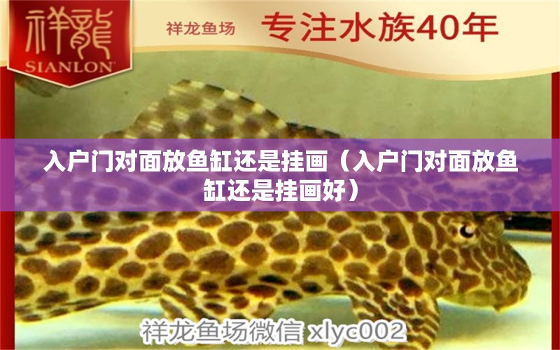 入戶門對(duì)面放魚缸還是掛畫（入戶門對(duì)面放魚缸還是掛畫好）