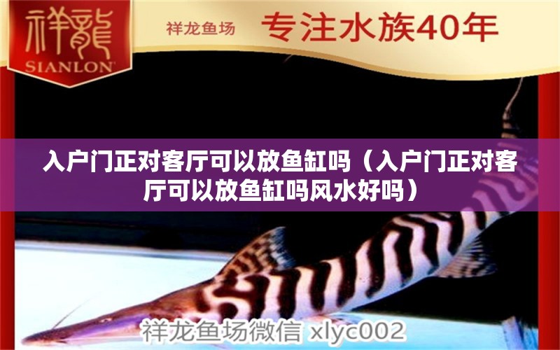 入戶門正對客廳可以放魚缸嗎（入戶門正對客廳可以放魚缸嗎風(fēng)水好嗎）