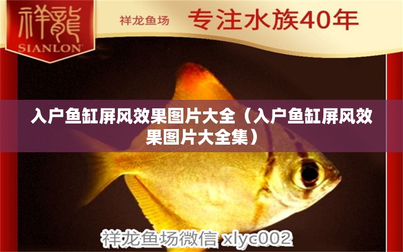 入戶魚缸屏風效果圖片大全（入戶魚缸屏風效果圖片大全集）