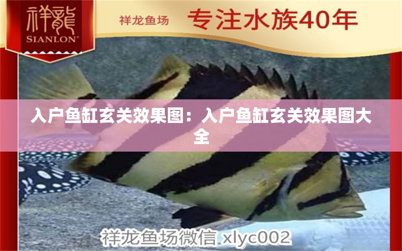 入戶魚缸玄關效果圖：入戶魚缸玄關效果圖大全