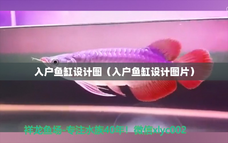 入戶魚缸設(shè)計圖（入戶魚缸設(shè)計圖片） 祥龍水族醫(yī)院