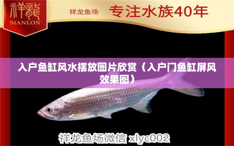 入戶魚缸風(fēng)水?dāng)[放圖片欣賞（入戶門魚缸屏風(fēng)效果圖）