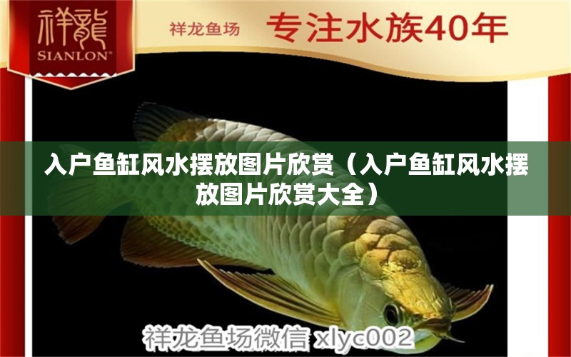 入戶魚缸風(fēng)水擺放圖片欣賞（入戶魚缸風(fēng)水擺放圖片欣賞大全）