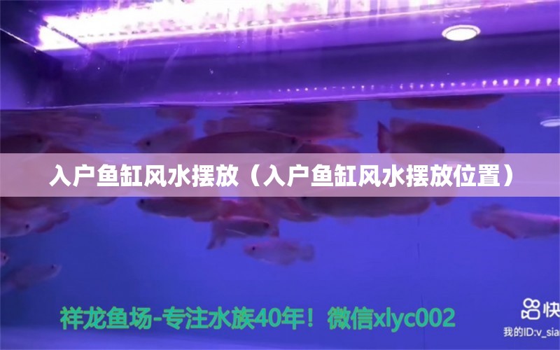 入戶魚缸風(fēng)水?dāng)[放（入戶魚缸風(fēng)水?dāng)[放位置）