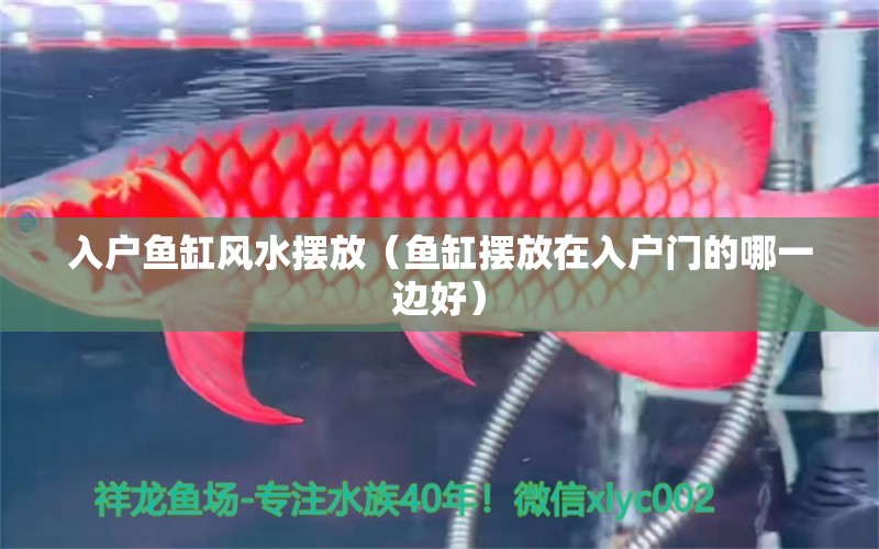 入戶魚缸風水擺放（魚缸擺放在入戶門的哪一邊好）