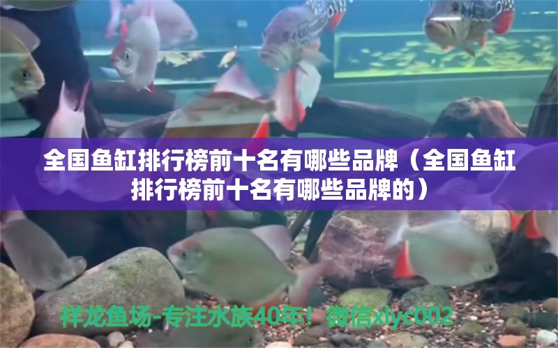 全國魚缸排行榜前十名有哪些品牌（全國魚缸排行榜前十名有哪些品牌的）