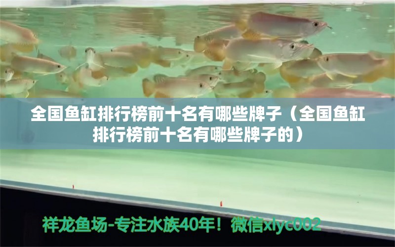 全國魚缸排行榜前十名有哪些牌子（全國魚缸排行榜前十名有哪些牌子的） 其他品牌魚缸